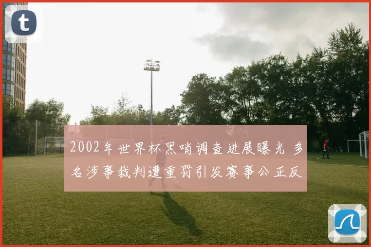 2002年世界杯黑哨调查进展曝光 多名涉事裁判遭重罚引发赛事公正反思