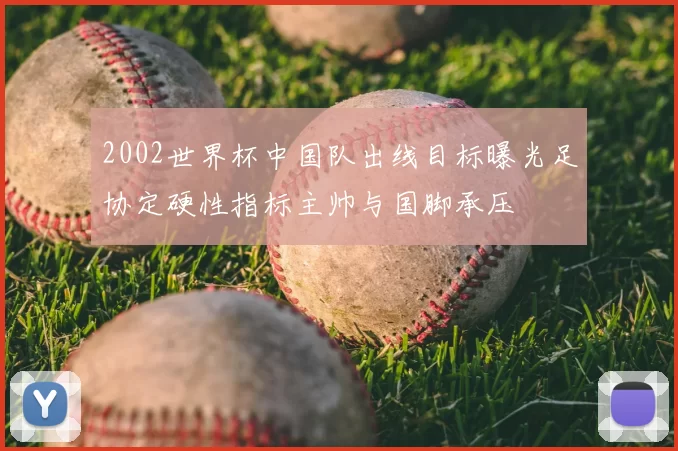 2002世界杯中国队出线目标曝光足协定硬性指标主帅与国脚承压