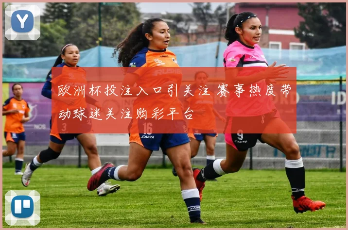 欧洲杯投注入口引关注 赛事热度带动球迷关注购彩平台