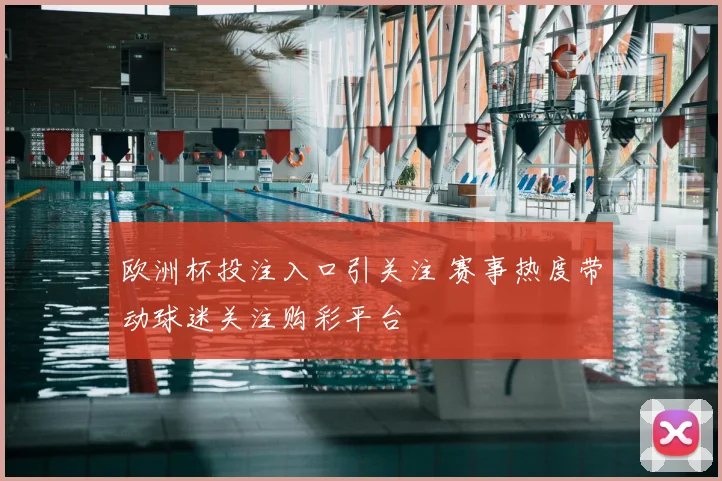 欧洲杯投注入口引关注 赛事热度带动球迷关注购彩平台
