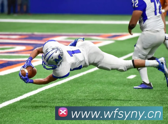 ky体育·(中国)官方网站平台生态图